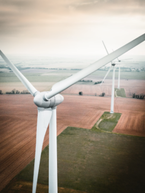 Wind turbine in a field