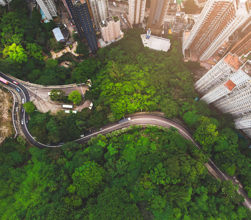 Aerial view of curve road in forest against buildings in Hong Kong